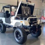 Mahindra Roxor Lifted