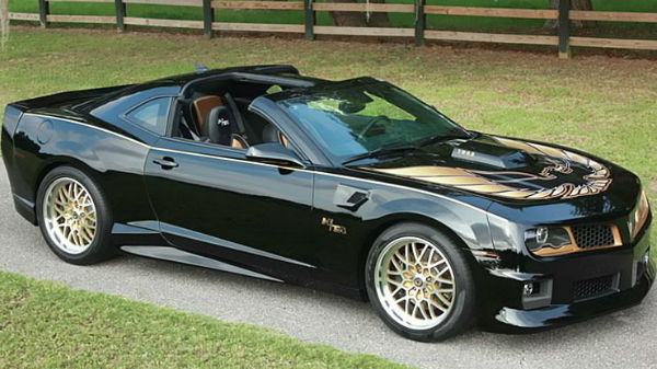 Trans Am Bandit Edition