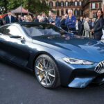 BMW 8 Series 2025 Car