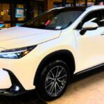 2025 Lexus NX 350