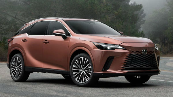 2025 Lexus NX USA